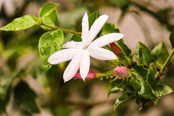 60岁精品感言 简短的人生感言六十岁(精选31句)