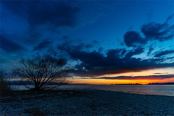 质检专员岗位职责(精选4篇)