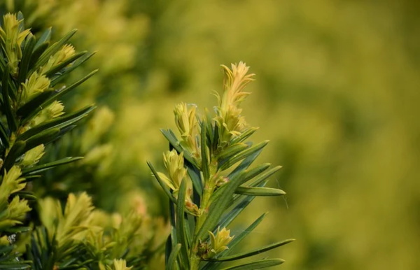 喝酒精辟俏皮话 朋友圈可发的酒后心情(精选27句)