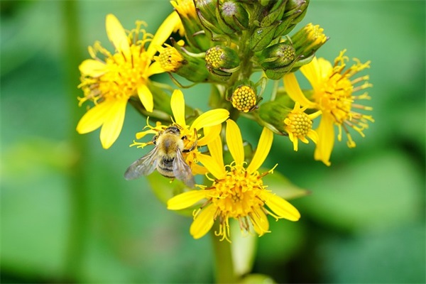 地铁值班站长的岗位职责(精选3篇)
