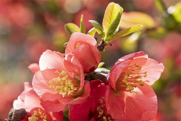 孩子读书座右铭 适合小学生读书的座右铭(精选43句)