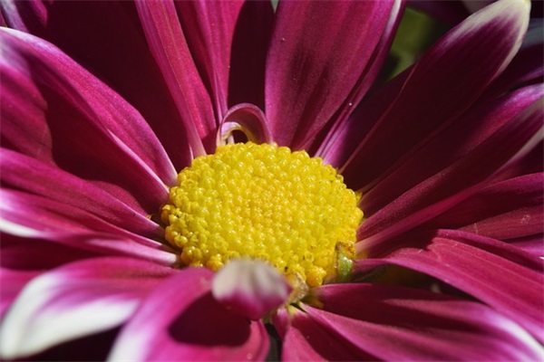 失而复得(精选2篇)