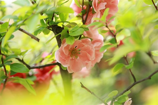 送闺蜜生日的话暖心简短 送给闺蜜生日暖心话