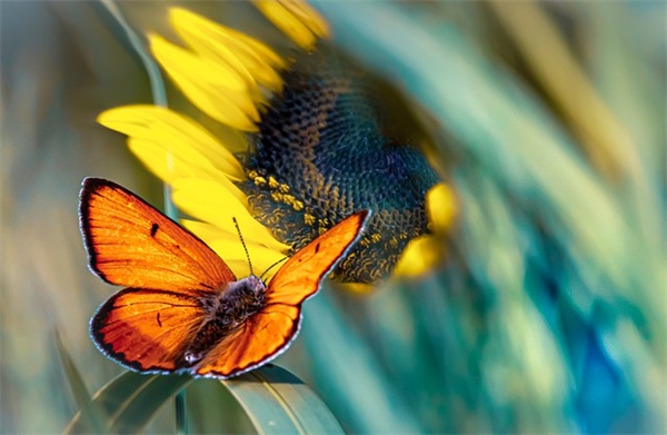 用今天的努力让明天没有遗憾 乐观坚强的励志签名