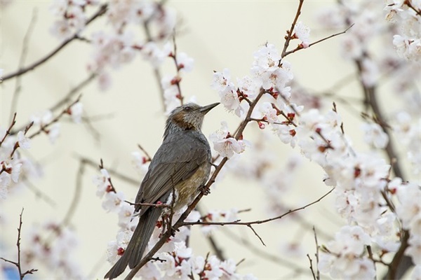 包饺子的过程(精选4篇)