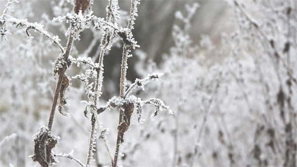 餐饮厨师岗位职责(精选3篇)