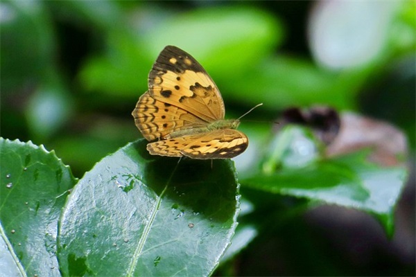 属于企业行政的职责(精选4篇)