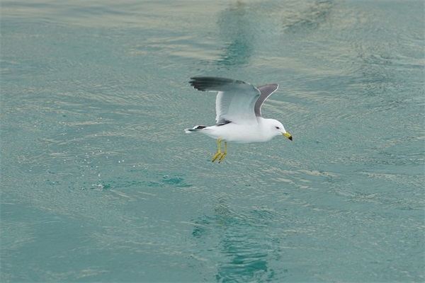 仿写彩色的梦第二第三自然段(精选13篇)