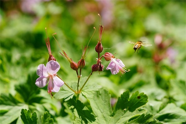人多力量大的谚语(精选60句)