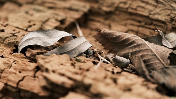 项目管理具体岗位职责要求(精选5篇)