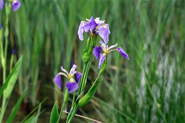 余生开心过好每一天的唯美语句(精选22句)