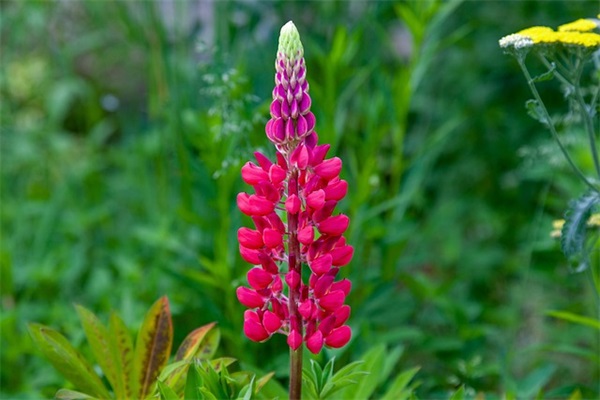 堕落到极致的文案(精选31句)