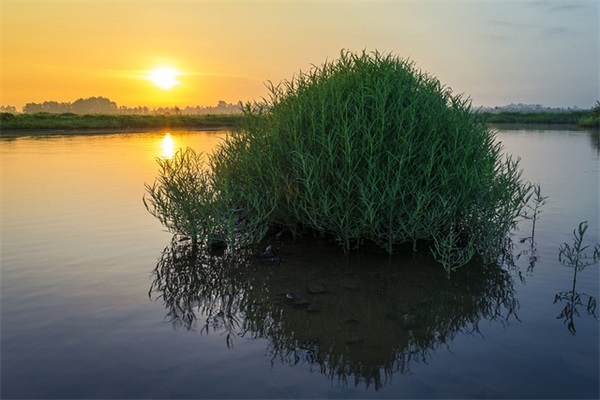 精读弟子规(精选3篇)