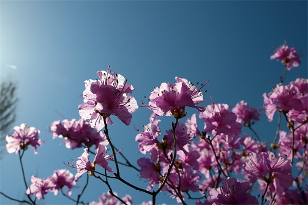 给英烈的一封信(精选4篇)