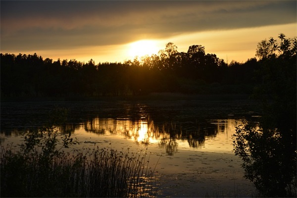 关于学院的介绍信(精选2篇)