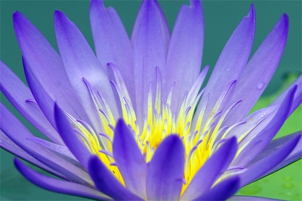 收发员岗位职责(精选4篇)