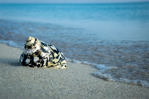 工厂生产主管岗位职责范围(精选4篇)