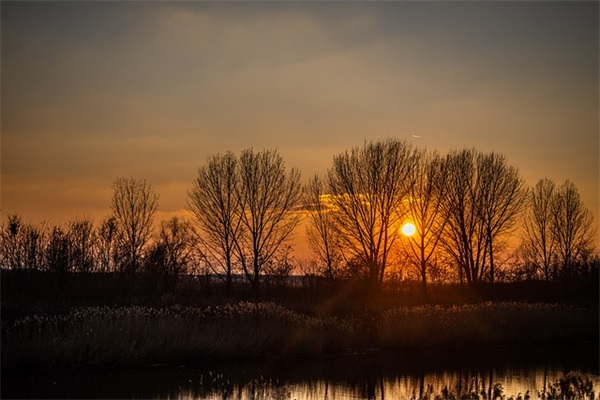 销售人员励志座右铭 优秀销售人员的座右铭15字内
