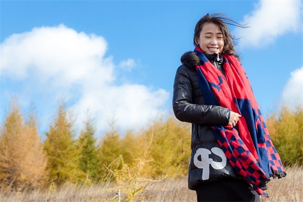 关于努力个人宣言(精选27句)