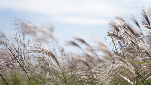 2024最潮个性昵称带符号(精选103个)