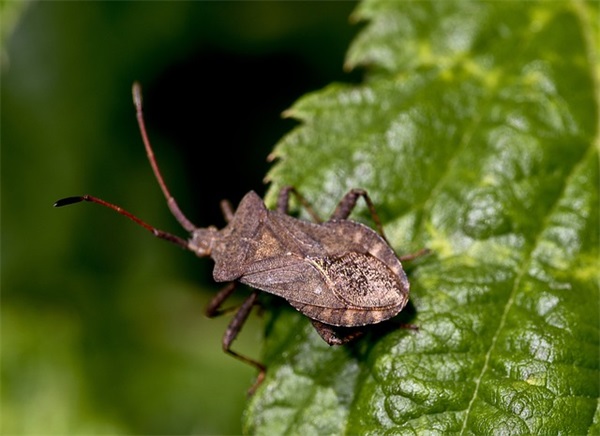 下午好问候语幽默 中午微信问候语幽默(精选22句)