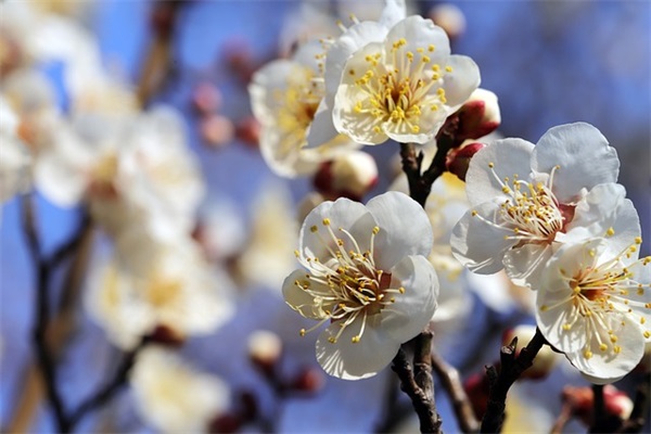 一封道歉信(精选4篇)