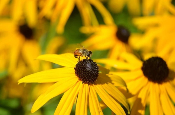 写一封信的格式(精选2篇)