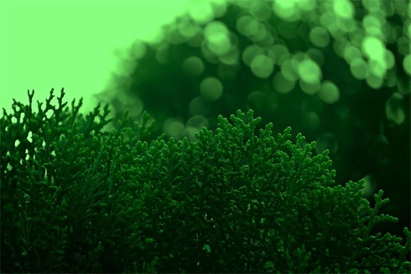 仿照摔跤写一个片段(精选3篇)