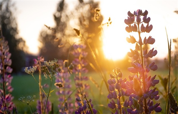 物业管理公司管理主管职责(精选3篇)