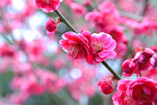 朋友圈发美食怎么配字(精选31句)