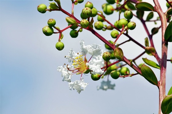 清明缅怀先烈短句 缅怀先烈文案短句(精选46句)