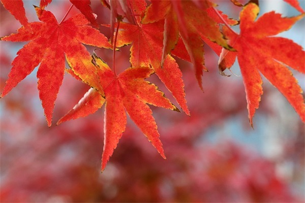 班级口号霸气押韵8字 初一班级口号霸气押韵8字