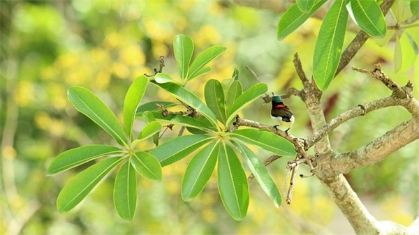 情话最暖心短句十字 小情话暖人心10字以内