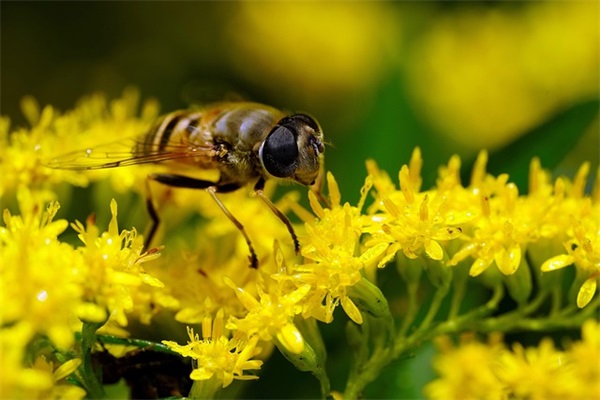 8字霸气个性签名超拽 霸气超拽的个性签名