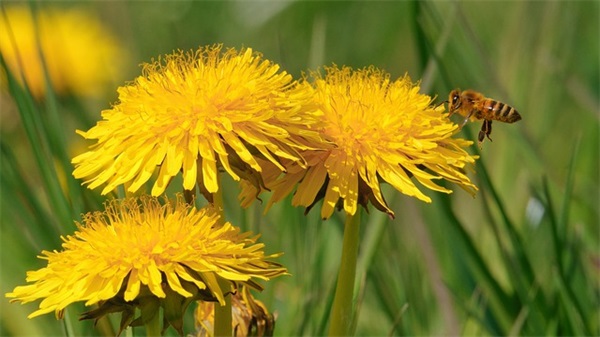 酷到掉渣的八字句(精选72句)