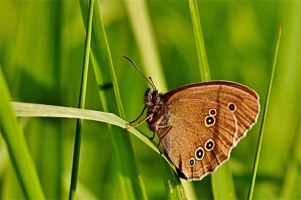 qq男人网名大全