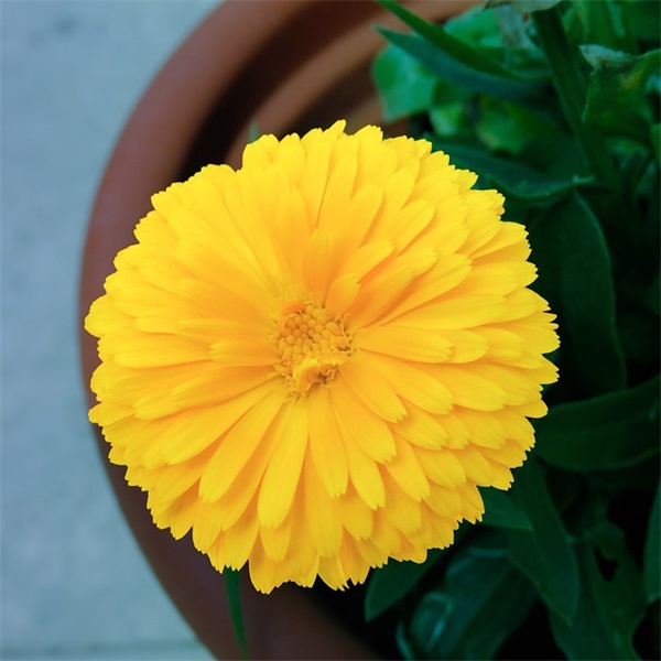 情侣网名大全个性网