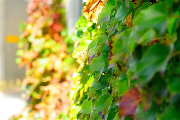 下载qq网名大全