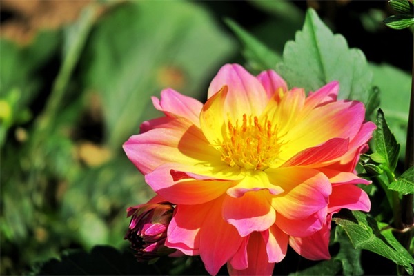 带沛字的qq网名大全