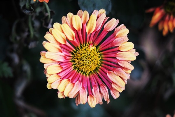 阳光一点的qq网名