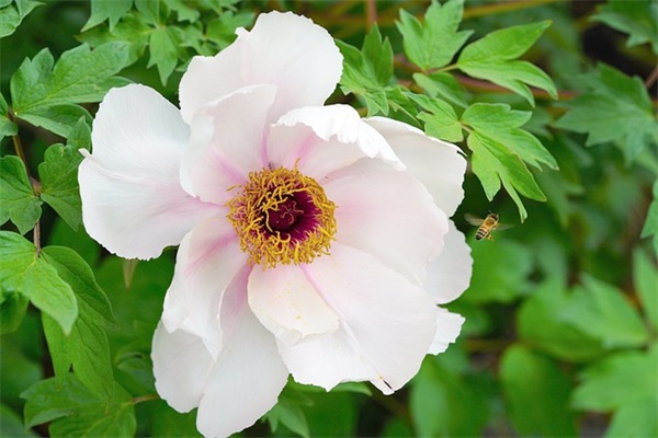 个性网名女生韩文网名大全