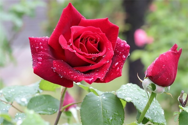 微笑开头qq女生网名