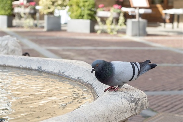 简单唯美情侣网名