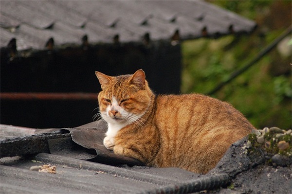 个性网网名闺蜜3