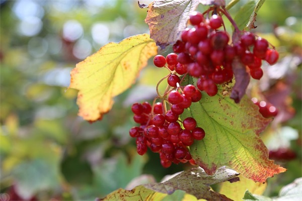 初中女孩个性网名
