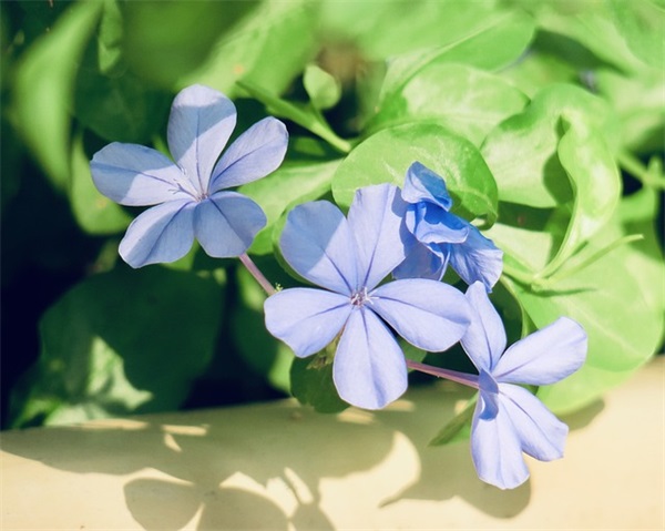 带亮字个性网名