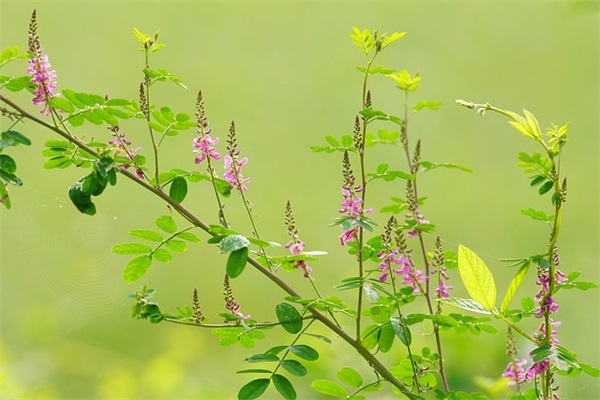 给自己找个qq网名