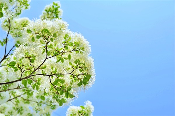 闺蜜可爱网名队形