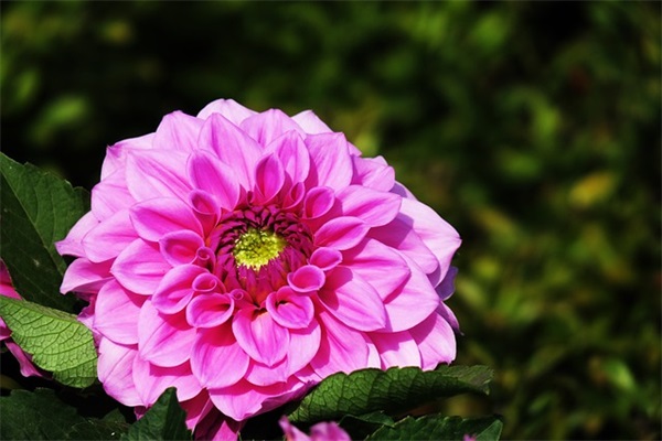 市场营销运营方案