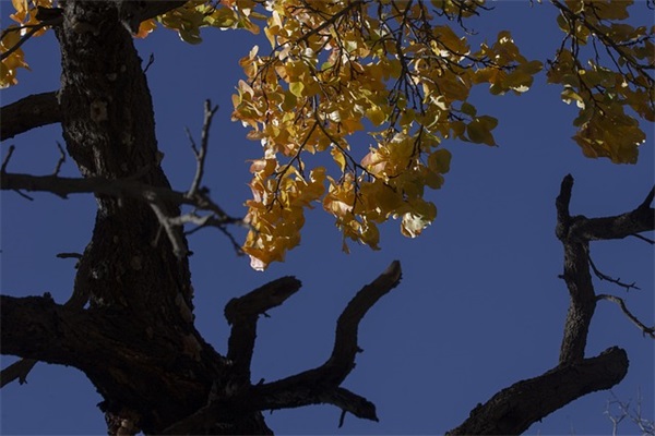 手术室护理管理制度